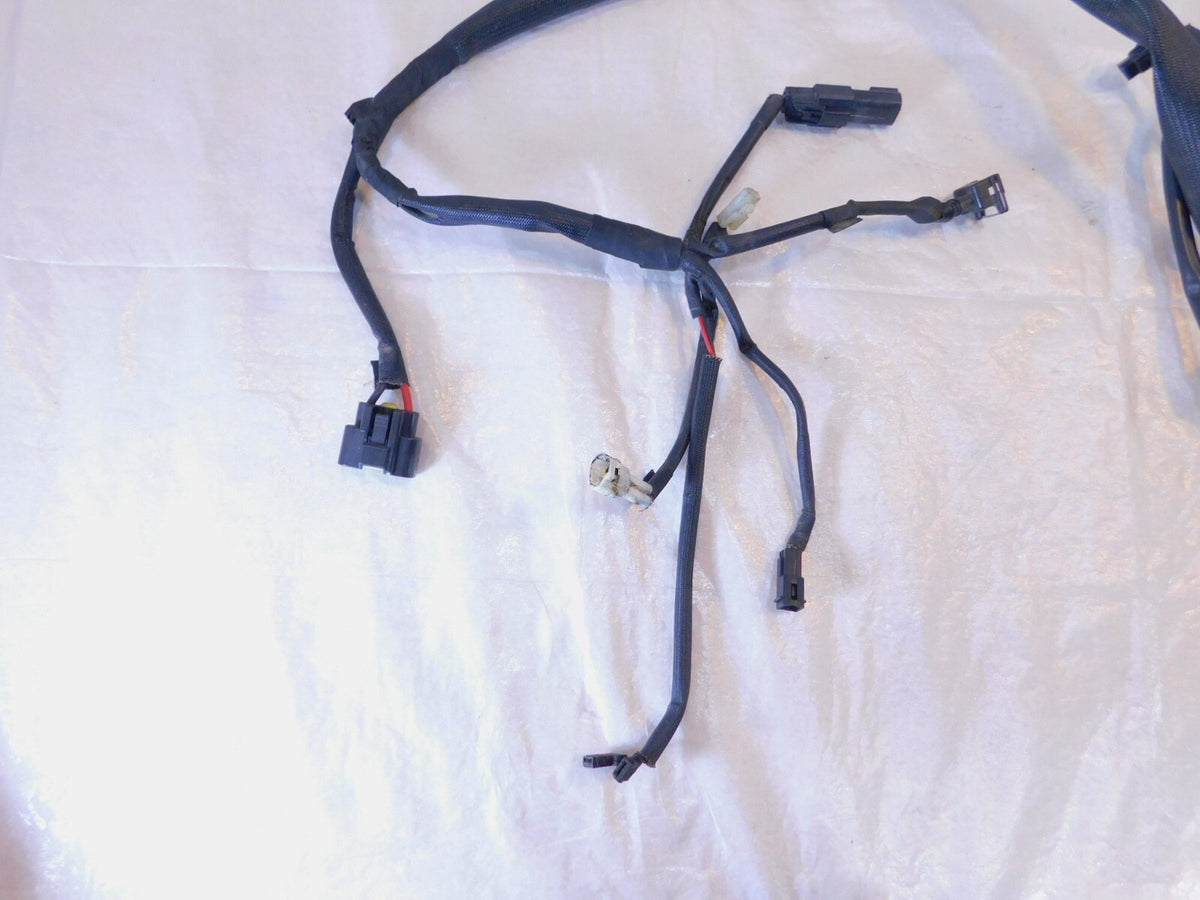 2015 & 2016 Harley Davidson Street 500 750 XG500 XG750 Wiring Wire Harness Loom - C3 Cycle