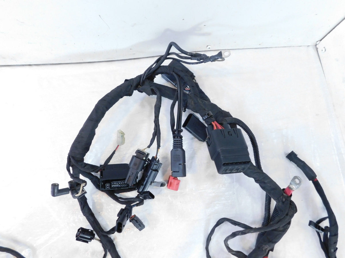Harley Davidson Softail Heritage Milwaukee 8 M8 Main Wire Wiring Harness Loom - C3 Cycle