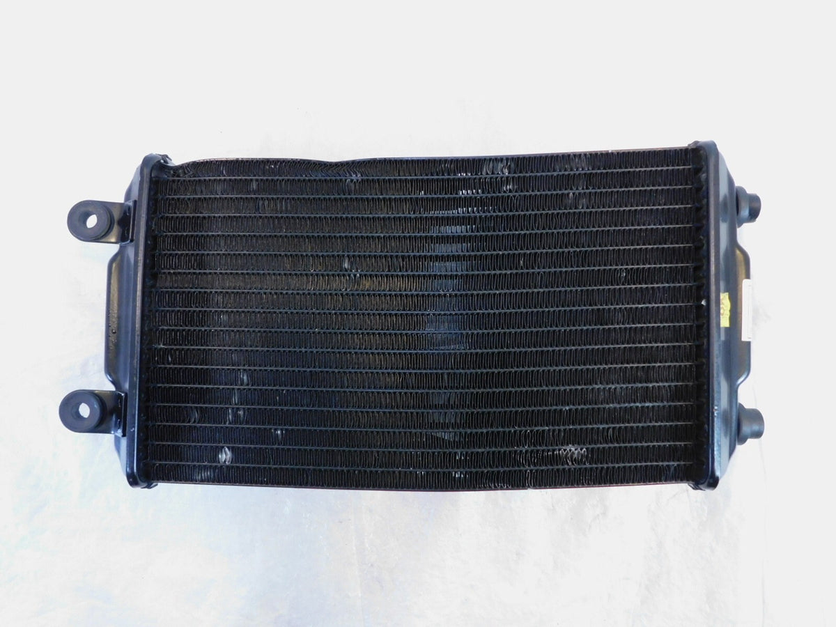 2015-2020 Harley Davidson Street XG500 500 & XG750 750 Engine Coolant Radiator - C3 Cycle