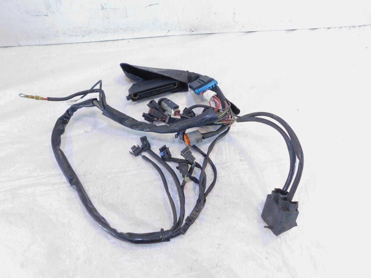 Harley Davidson Electra Glide Classic & Ultra Classic Fuel Injection EFI Harness - C3 Cycle