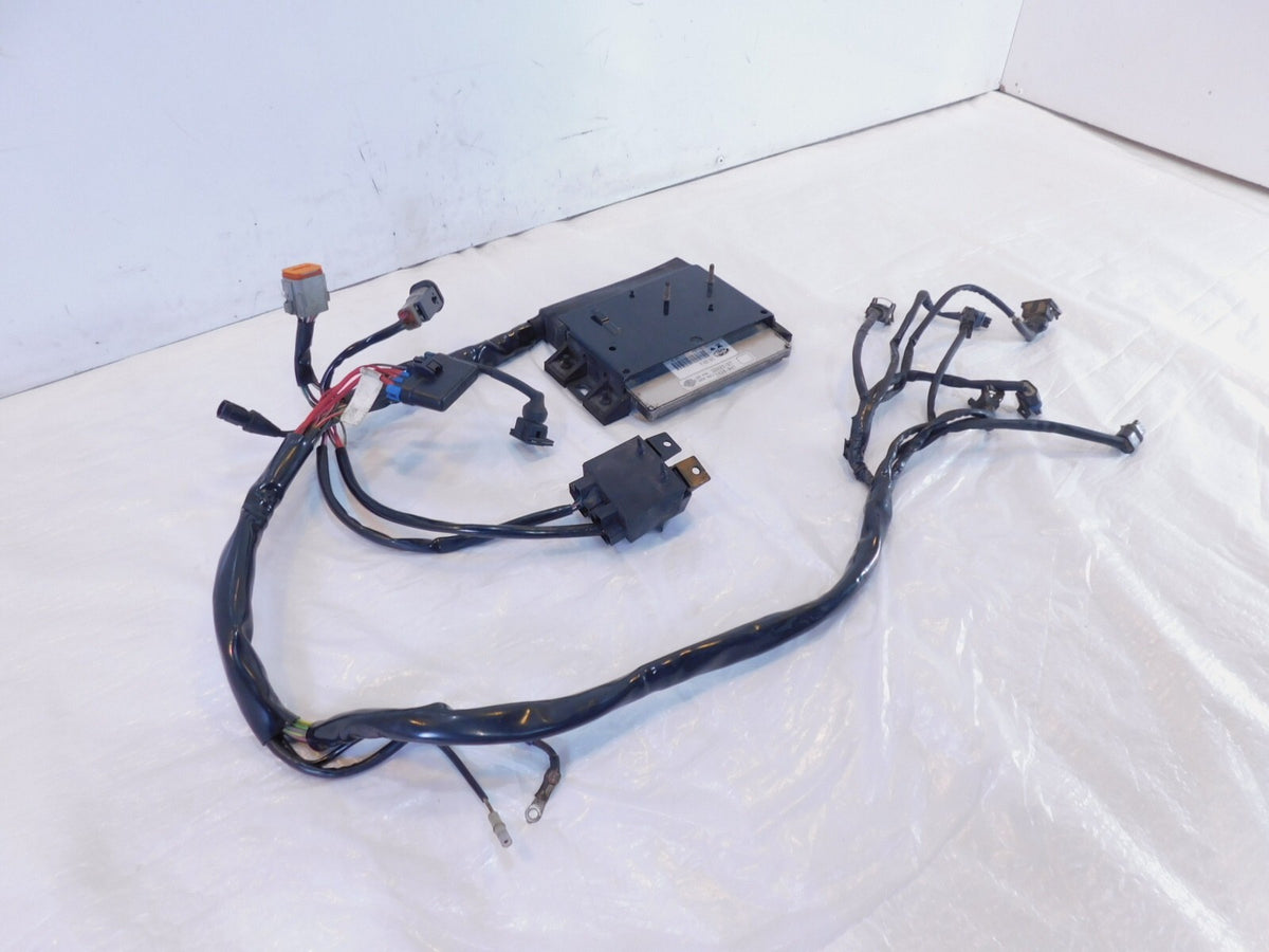 Harley Electra Glide FLHTC EFI Fuel Injection Wire Harness & Magenti Marelli ECU - C3 Cycle