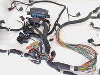 17 Indian Chief Chieftain Roadmaster & Springfield Main Wire Wiring Harness Loom - C3 Cycle