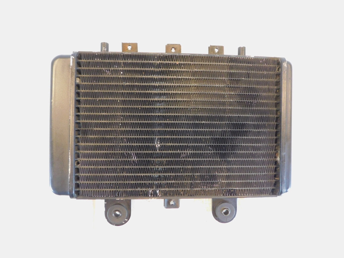 Triumph Adventurer Legend TT Thunderbird Sport Engine Cooling Radiator T2102135 - C3 Cycle