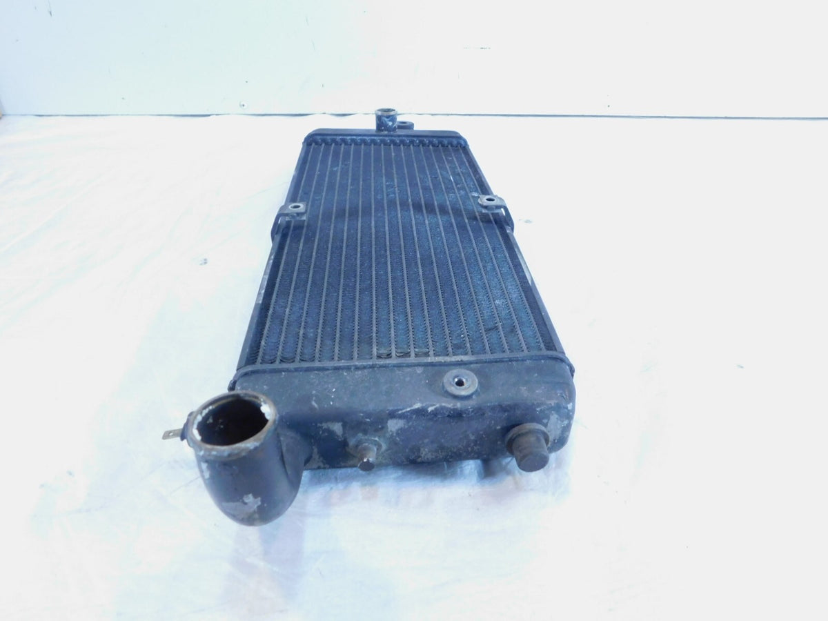 Honda VT750 VT750C Shadow 750 ACE Deluxe & Spirit Front Engine Coolant Radiator - C3 Cycle