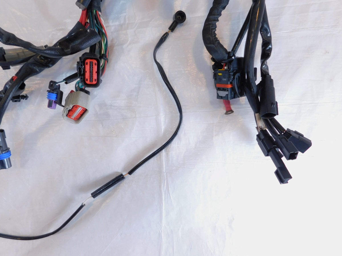Harley Davidson Sportster 883 & 1200 Main Wiring Wire Harness Loom 69200072 - C3 Cycle