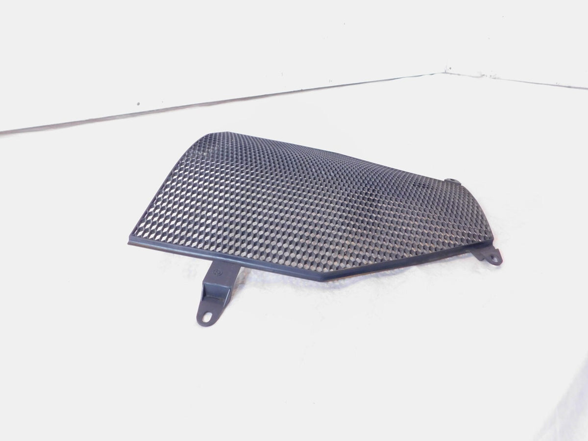 BMW K1200R K1300 K1300S K1300GT K1600GTL K1600GT Radiator Protective Grill Cover