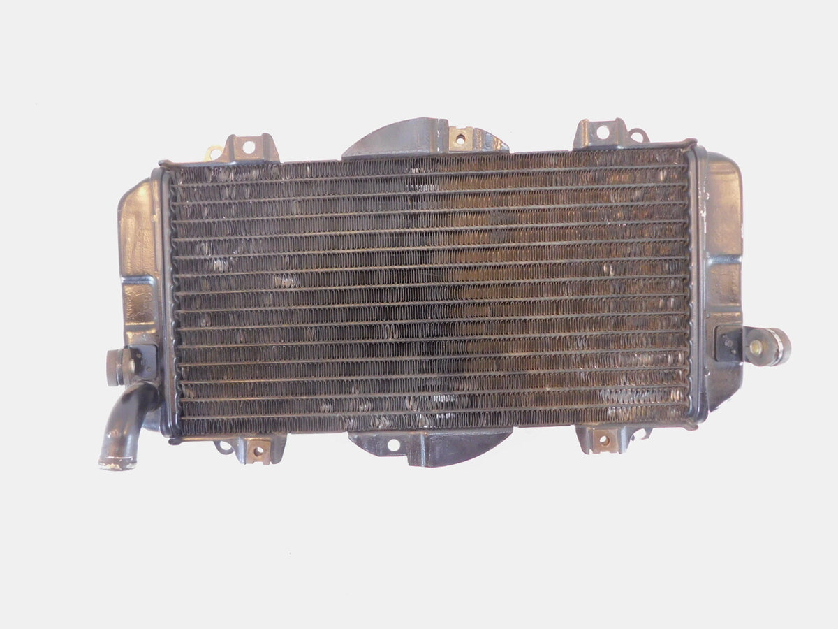 1989-1999 Yamaha FZR600R FZR600 Front Engine Cooling Coolant Radiator - C3 Cycle