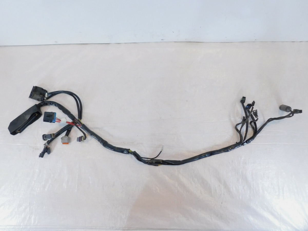 Harley Davidson Electra Glide Classic & Ultra Classic Fuel Injection EFI Harness - C3 Cycle
