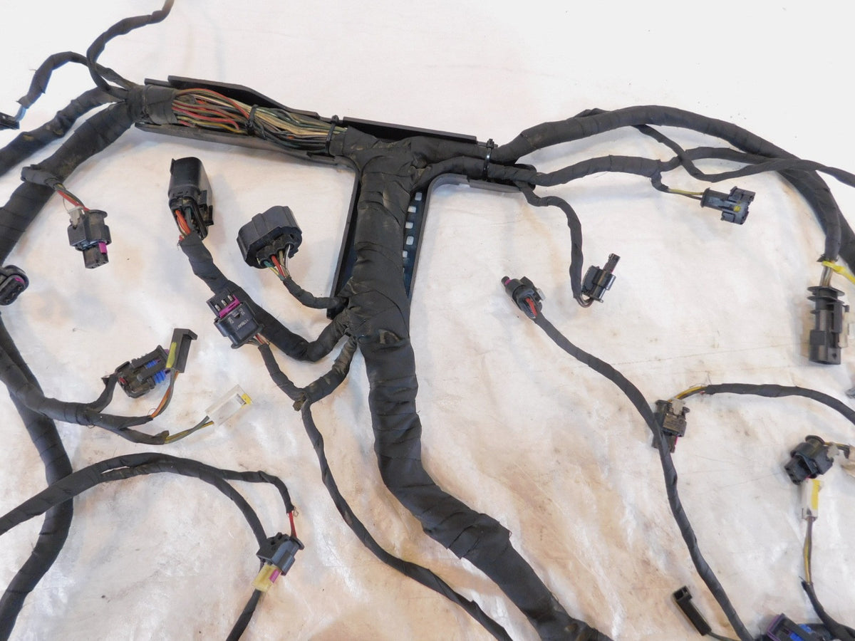 Harley Davidson Pan America RA1250 1250 1250S Engine Wire Wiring Harness Loom - C3 Cycle