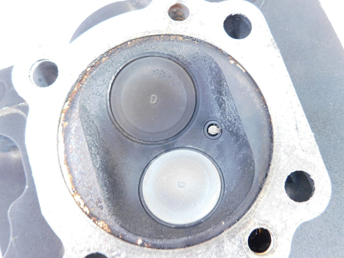 Harley Davidson Touring Dyna & Softail Twin Cam 96" Black Rear Cylinder Head