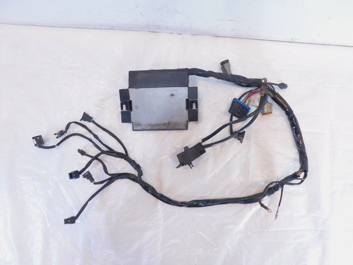 Harley Electra Glide FLHTC EFI Fuel Injection Wire Harness & Magenti Marelli ECU - C3 Cycle