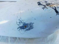 Harley Davidson Sportster 883 Iron & 1200 Nightster White Fuel Gas Petrol Tank