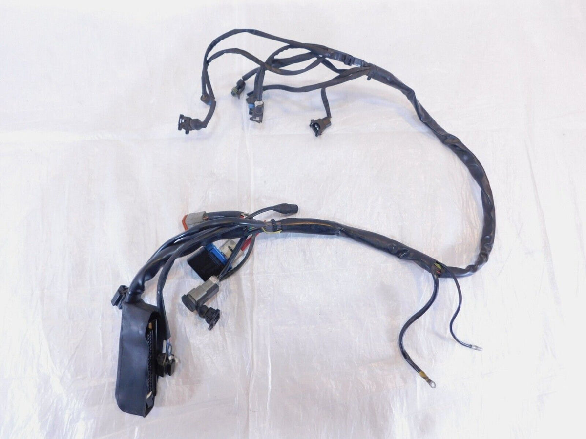 Harley Davidson Electra Glide Ultra Classic EFI Fuel Injection Wiring Harness - C3 Cycle