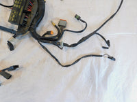 Harley Davidson Softail Heritage Classic & Fat Boy EFI Main Wire Wiring Harness - C3 Cycle