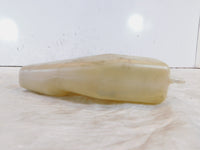 1991-1995 Yamaha FZR1000 Radiator Fluid Coolant Recovery Bottle Tank Reservoir - C3 Cycle