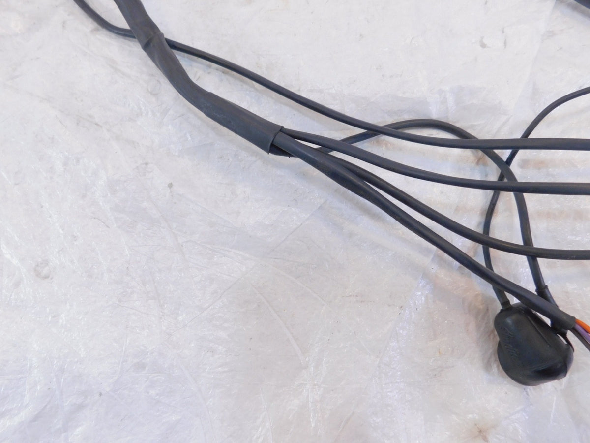2002-2003 Indian Gilroy Scout Spirit Engine Wire Wiring Harness Ignition Module - C3 Cycle