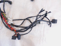 1999 99 Buell X1 Lightning Main Body & Engine Wire Wiring Harness Loom Y0200.KA - C3 Cycle