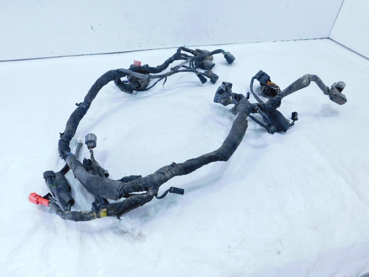 2021 21 Royal Enfield Himalayan 410 LS410 USA Main Wire Harness Wiring Loom - C3 Cycle