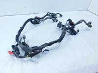 2021 21 Royal Enfield Himalayan 410 LS410 USA Main Wire Harness Wiring Loom - C3 Cycle