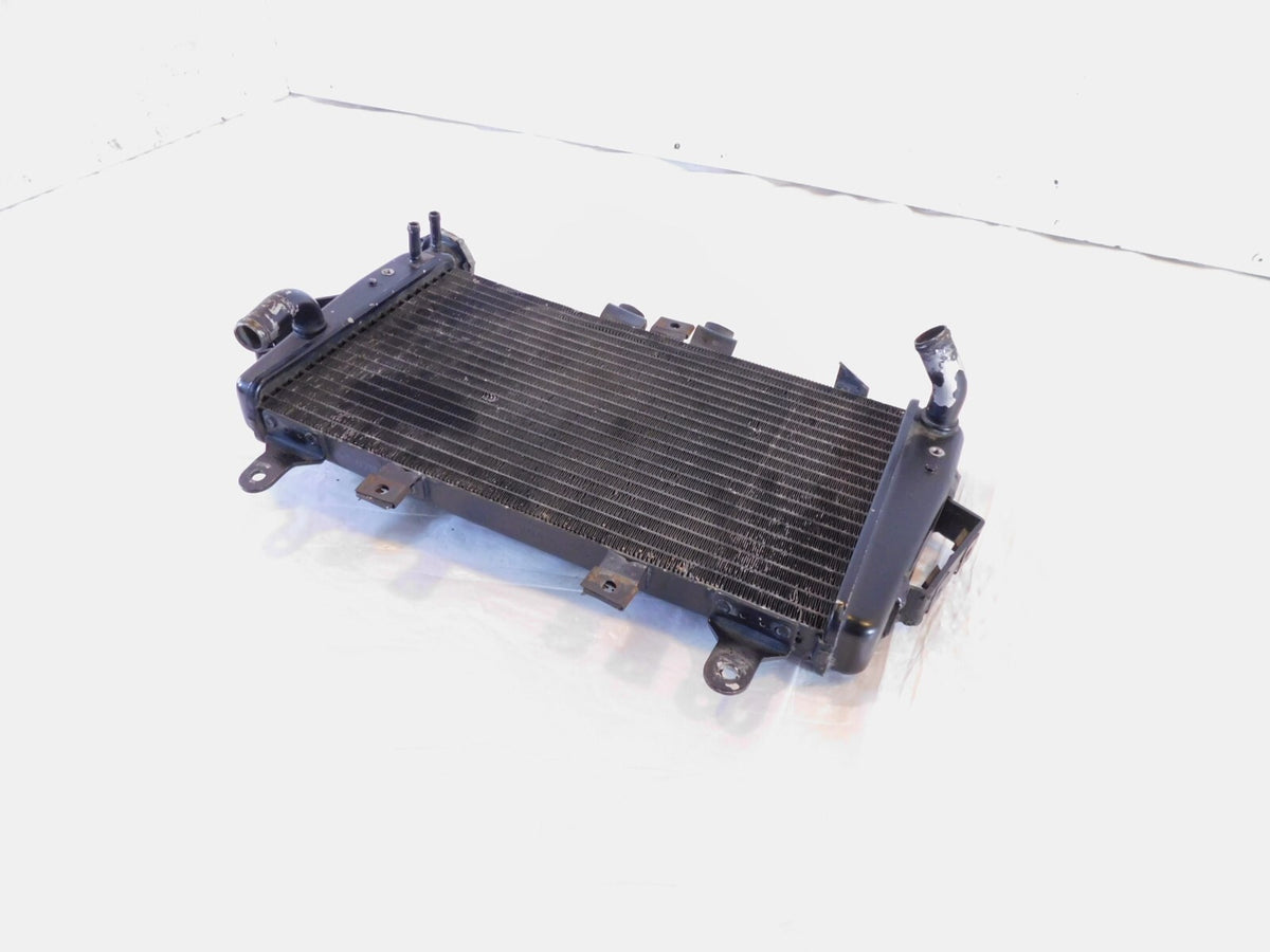 2007 2008 2009 2010 2011 2012 Triumph Tiger 1050 Engine Motor Cooling Radiator - C3 Cycle