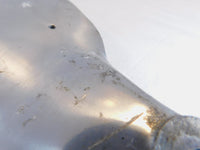 1986 Suzuki Intruder 700 VS700 GLFG/GLPG Rear Wheel Brake Drum Hub Cover Shoes - C3 Cycle