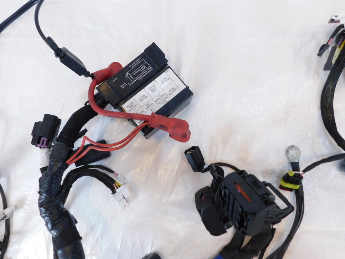 2018 18 Indian Scout Sixty & 1200 Main Electrical Wiring Harness Wire Loom Cable - C3 Cycle