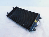 2015-2020 Harley Davidson Street XG500 500 & XG750 750 Engine Coolant Radiator - C3 Cycle