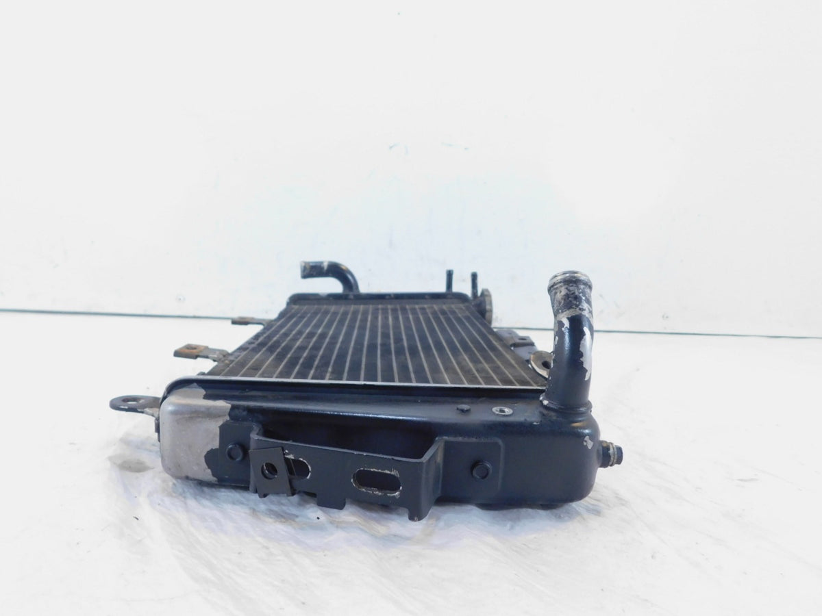 2007 2008 2009 2010 2011 2012 Triumph Tiger 1050 Engine Motor Cooling Radiator - C3 Cycle