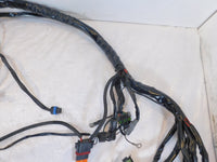 Harley Davidson Touring Road & Electra Glide Main & EFI Wiring Wire Harness Loom - C3 Cycle