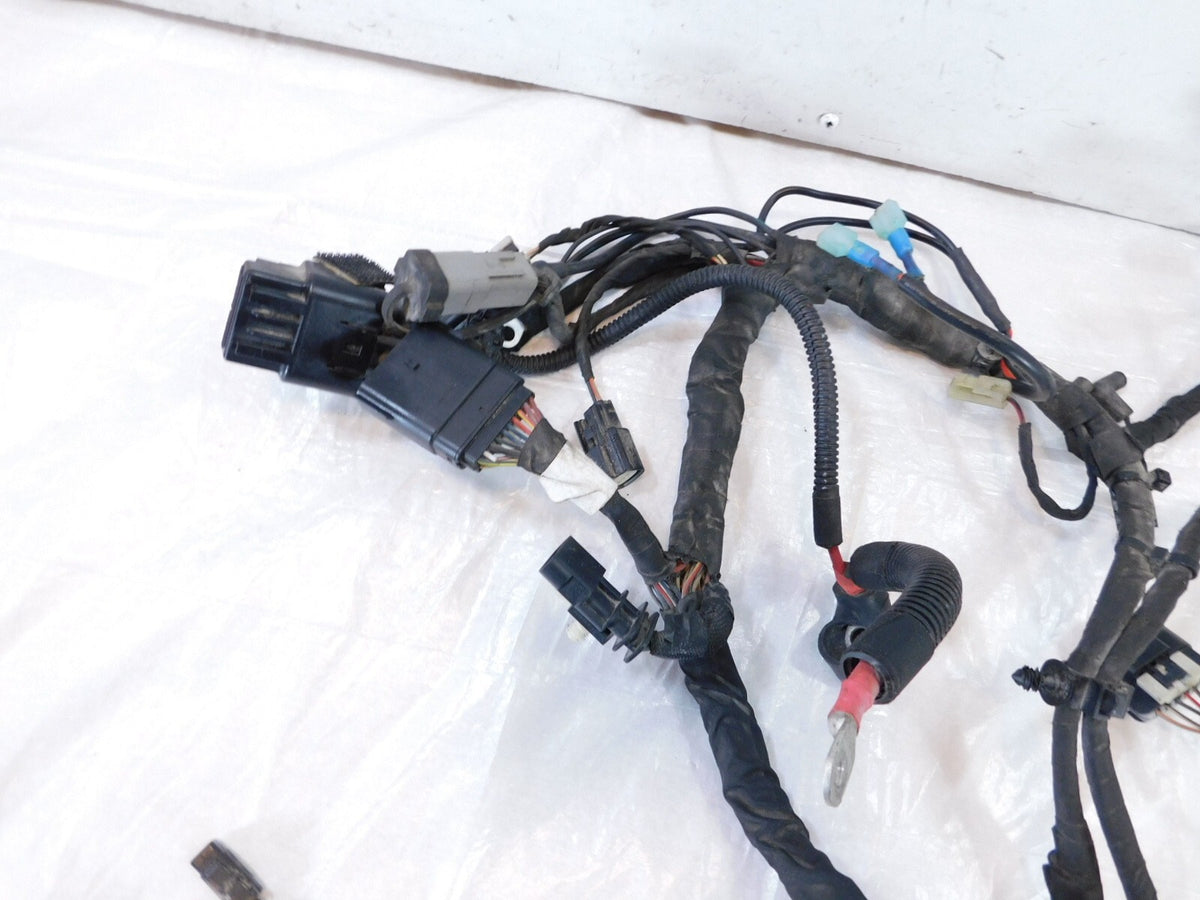 2018-2020 Harley Davidson Softail Low Rider & Fat Boy Main Wire Wiring Harness
