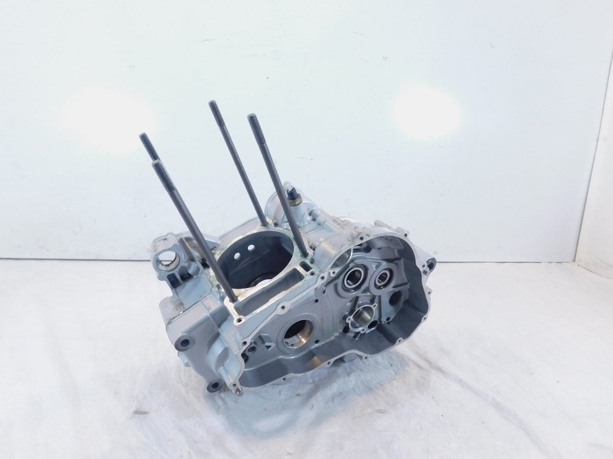 BMW F650 F650GS Dakar & F650CS Scarver Engine Motor Block Housing Crankcase Case - C3 Cycle