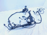 Harley Davidson Pan America RA1250 1250 1250S Engine Wire Wiring Harness Loom - C3 Cycle