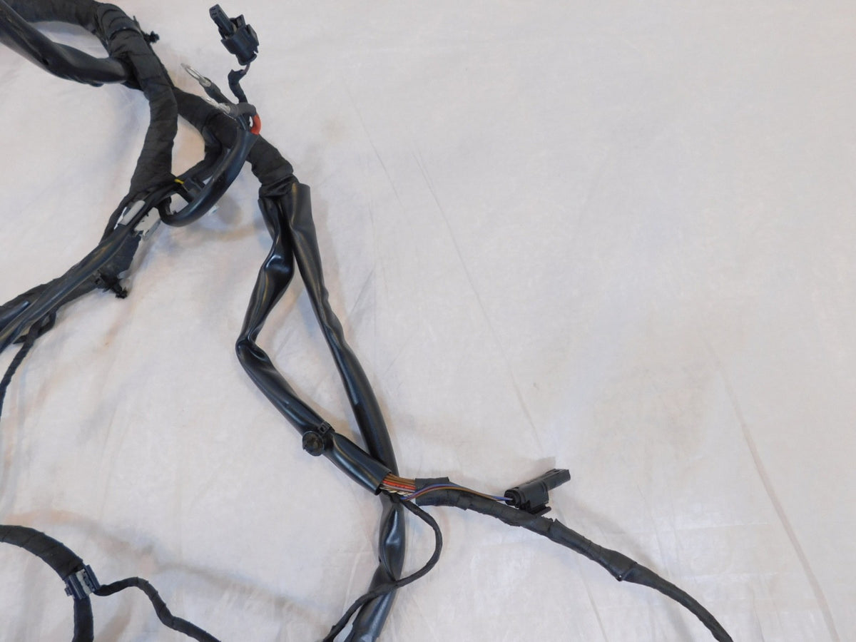 2012-2016 BMW F800 F800GT Main Wire Wiring Harness Loom - C3 Cycle