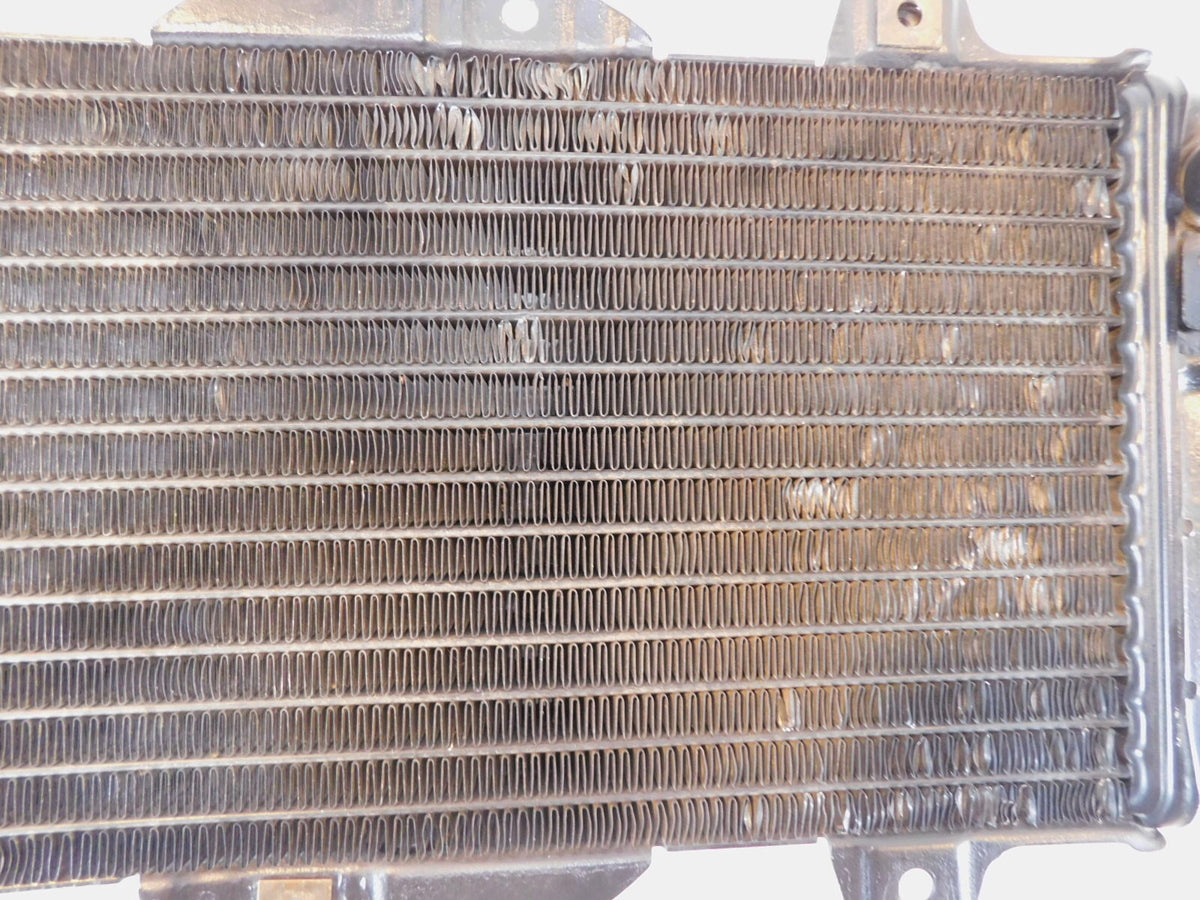 1989-1999 Yamaha FZR600R FZR600 Front Engine Cooling Coolant Radiator - C3 Cycle