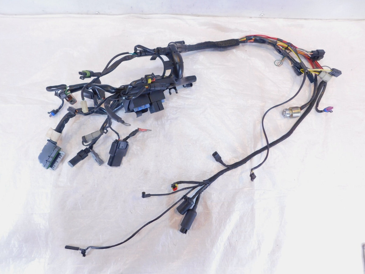 2009 09 Harley Davidson Sportster 883 & 1200 Main Wire Wiring Harness - No Key