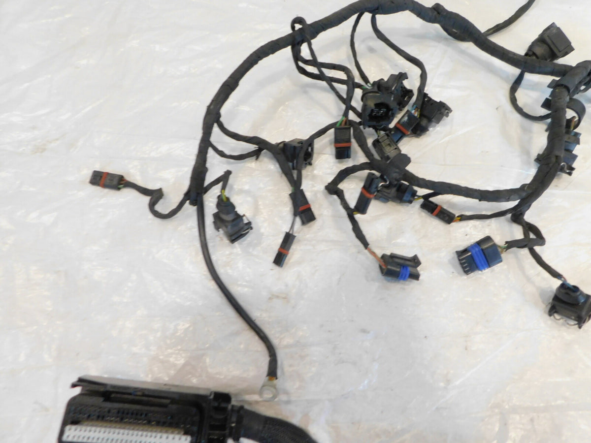 2005-2009 BMW K1200GT K1200 Engine Motor Wire Harness Wiring Loom - 12517690227 - C3 Cycle