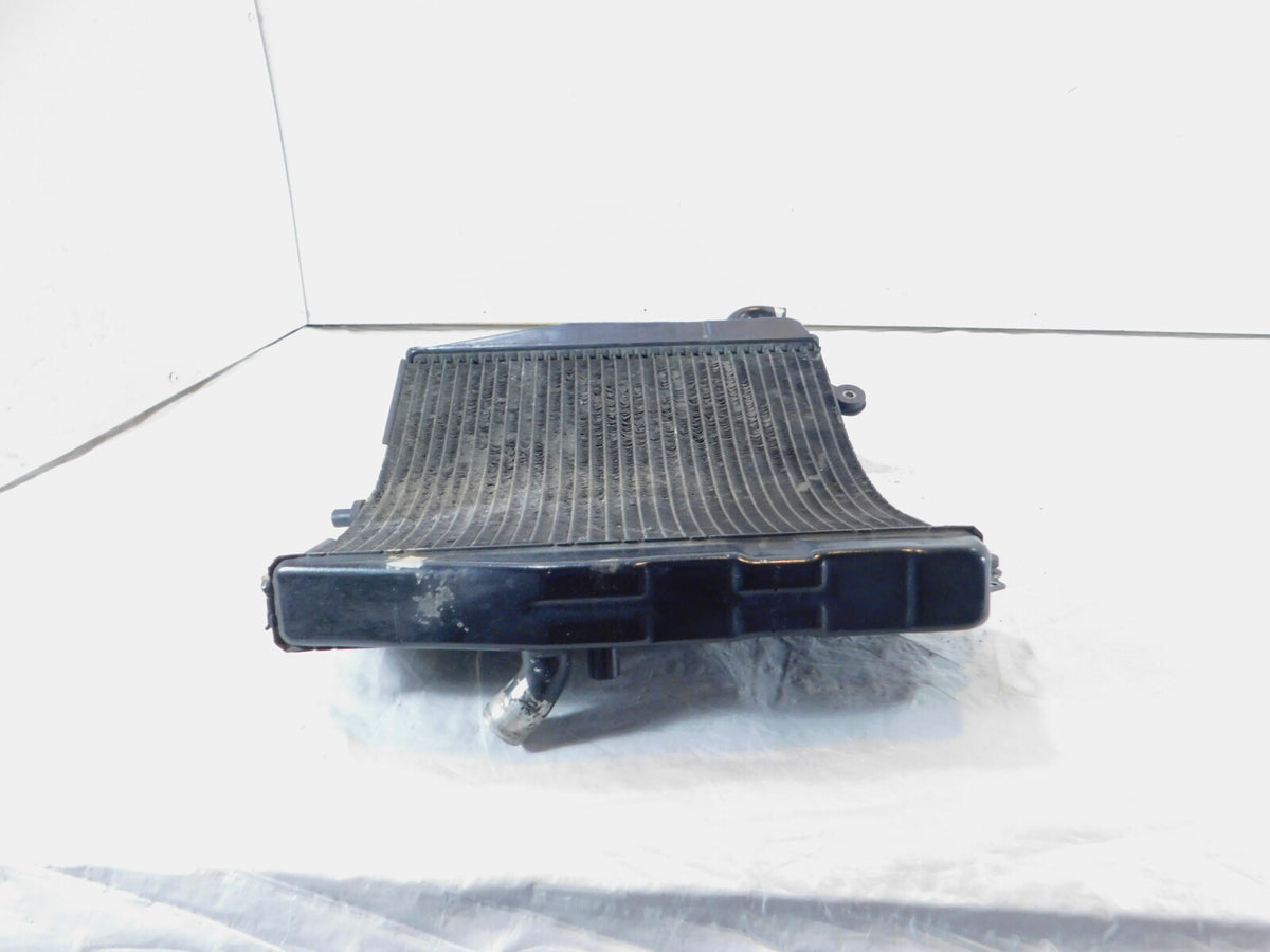 1994-1996 Suzuki RF600R RF600 Front Engine Motor Cooling Coolant Radiator - C3 Cycle