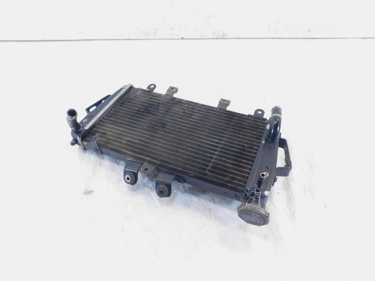 2007 2008 2009 2010 2011 2012 Triumph Tiger 1050 Engine Motor Cooling Radiator - C3 Cycle