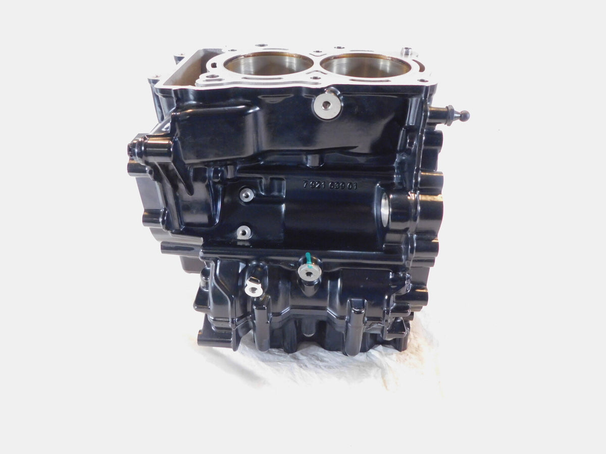 2020-2023 BMW F900R F900XR F900GS F800GS Black Engine Housing Crank Case - C3 Cycle