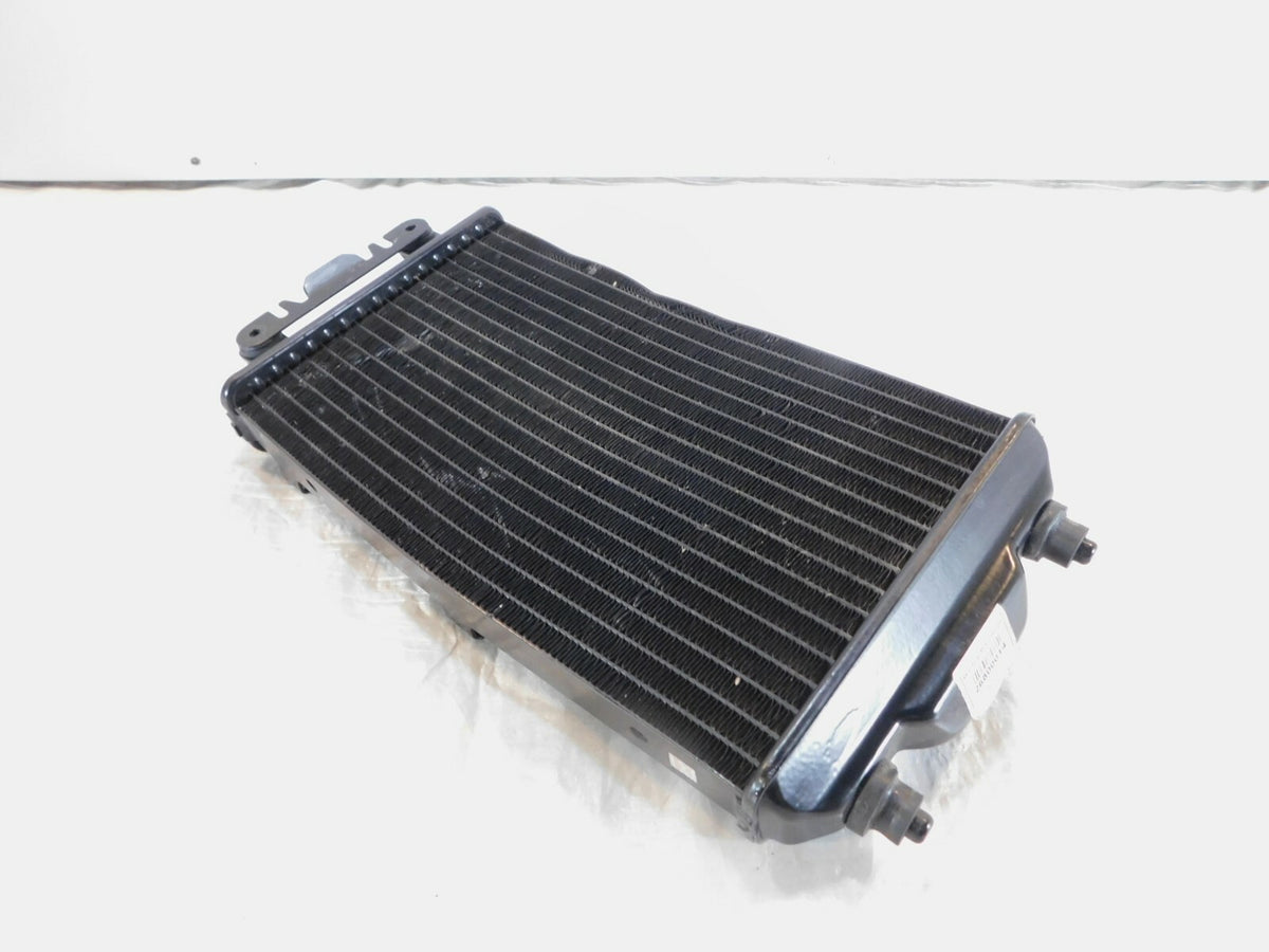 2015-2020 Harley Davidson Street XG500 500 & XG750 750 Engine Coolant Radiator