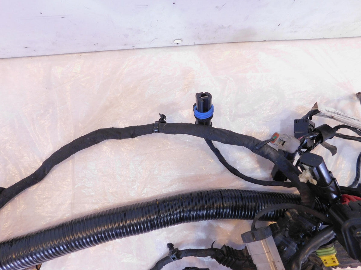 12-17 Harley Davidson Dyna Low Glide & Street Bob Main Wiring Wire Harness Loom - C3 Cycle