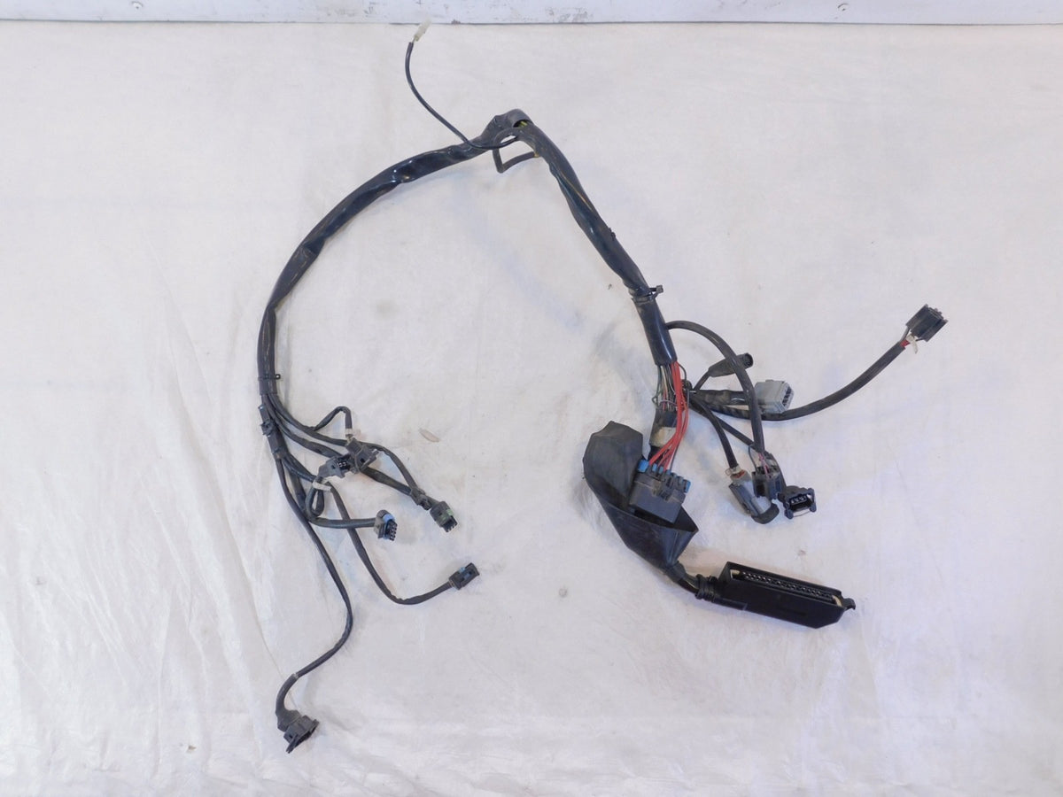 Harley Davidson Electra Glide Ultra Classic EFI Fuel Injection Wiring Harness - C3 Cycle