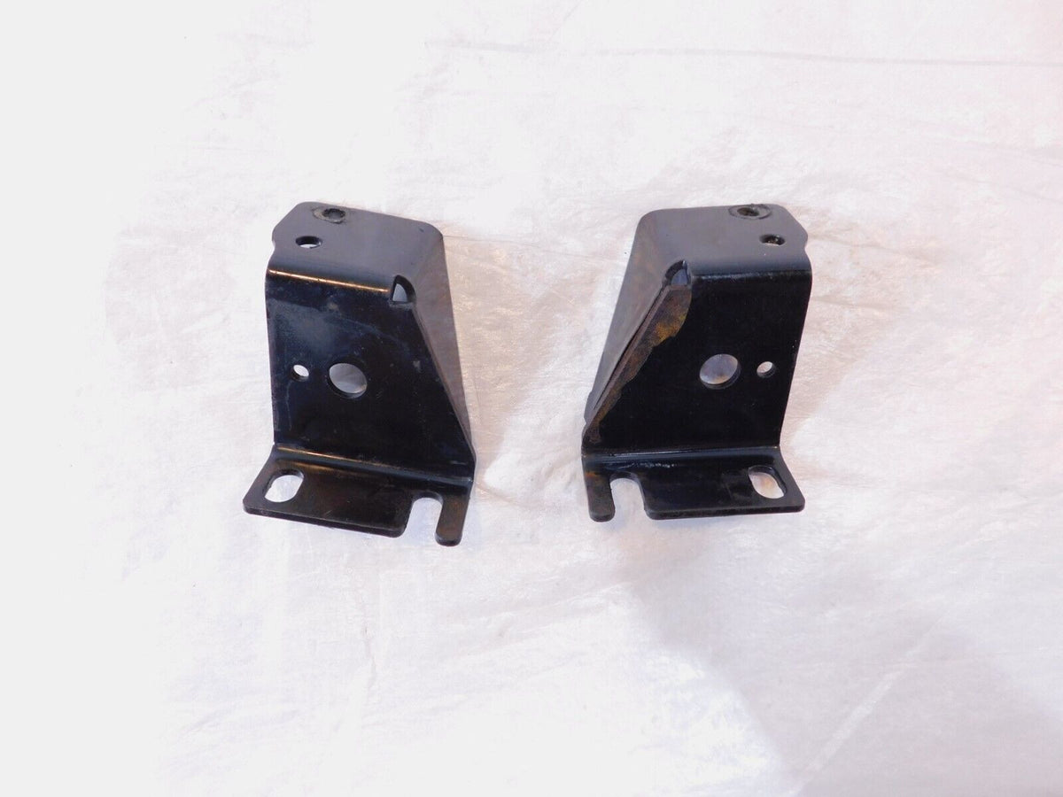 Indian Chief Chieftain Roadmaster & Springfield Rear Wheel Fender Bumper Guard - C3 Cycle