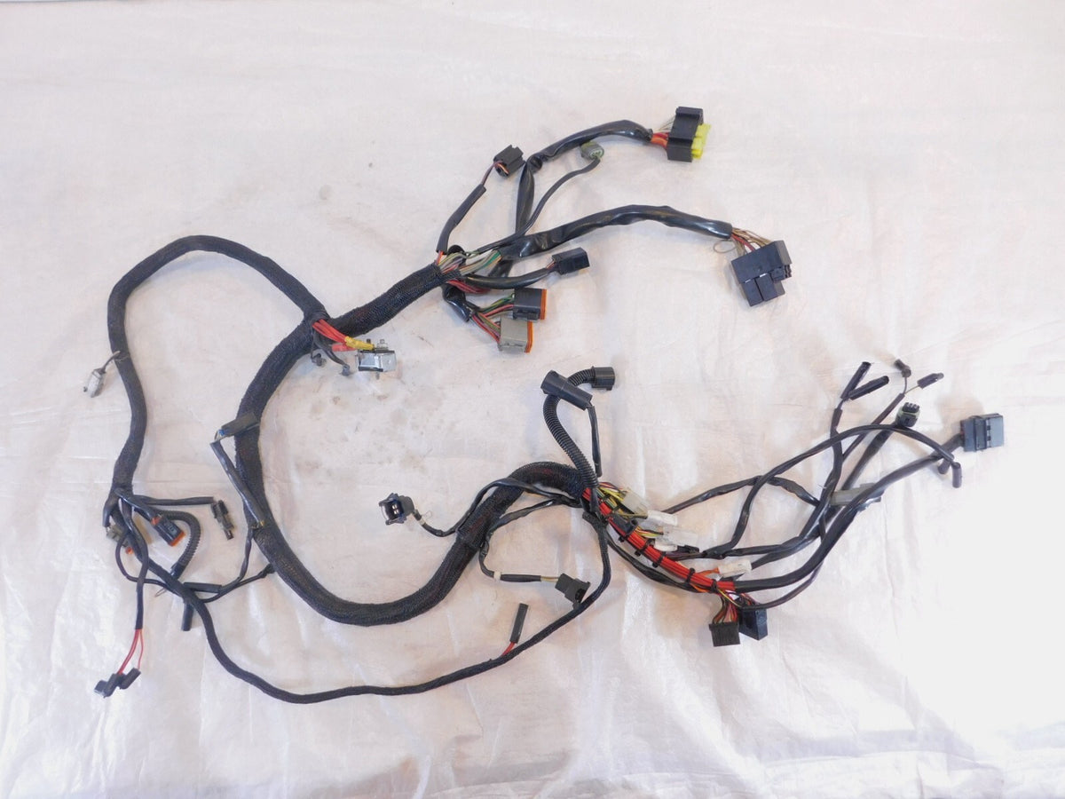 1999 99 Buell X1 Lightning Main Body & Engine Wire Wiring Harness Loom Y0200.KA - C3 Cycle