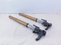 2006-2017 Triumph Daytona 675R Front Left & Right Suspension Fork Leg Tubes - C3 Cycle