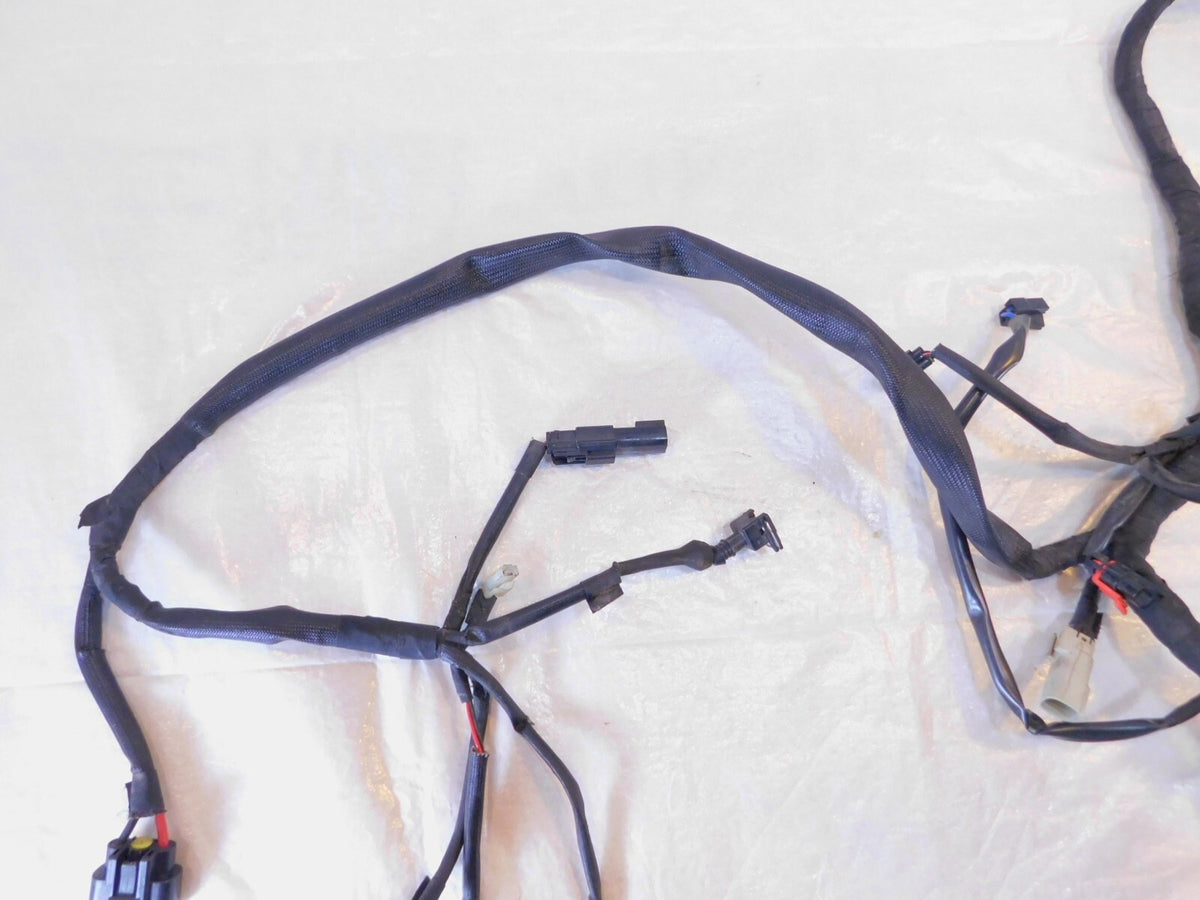 2015 & 2016 Harley Davidson Street 500 750 XG500 XG750 Wiring Wire Harness Loom - C3 Cycle