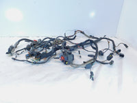 2004-2007 Buell Firebolt XB XB9 XB9R & XB12 XB12R Main Wire Harness Wiring Loom