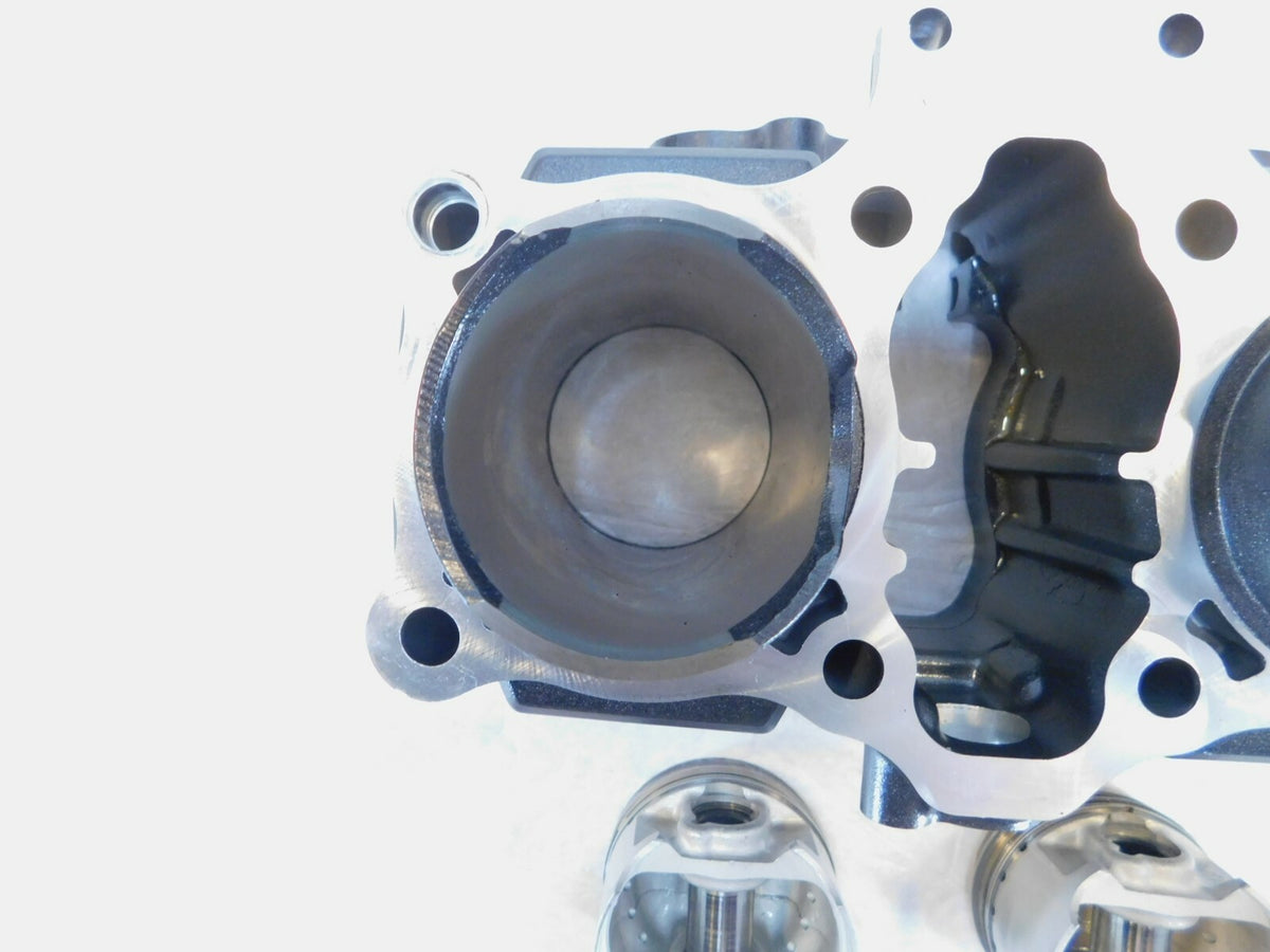 2018 & 2019 Suzuki GSX250R GSX 250R Engine Motor Cylinder Barrel Jugs & Pistons - C3 Cycle
