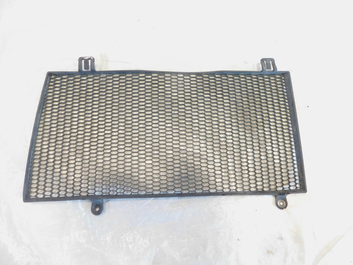 2006-2012 BMW F800GS F800 Engine Cooling Radiator Protector Cover Grill Screen - C3 Cycle