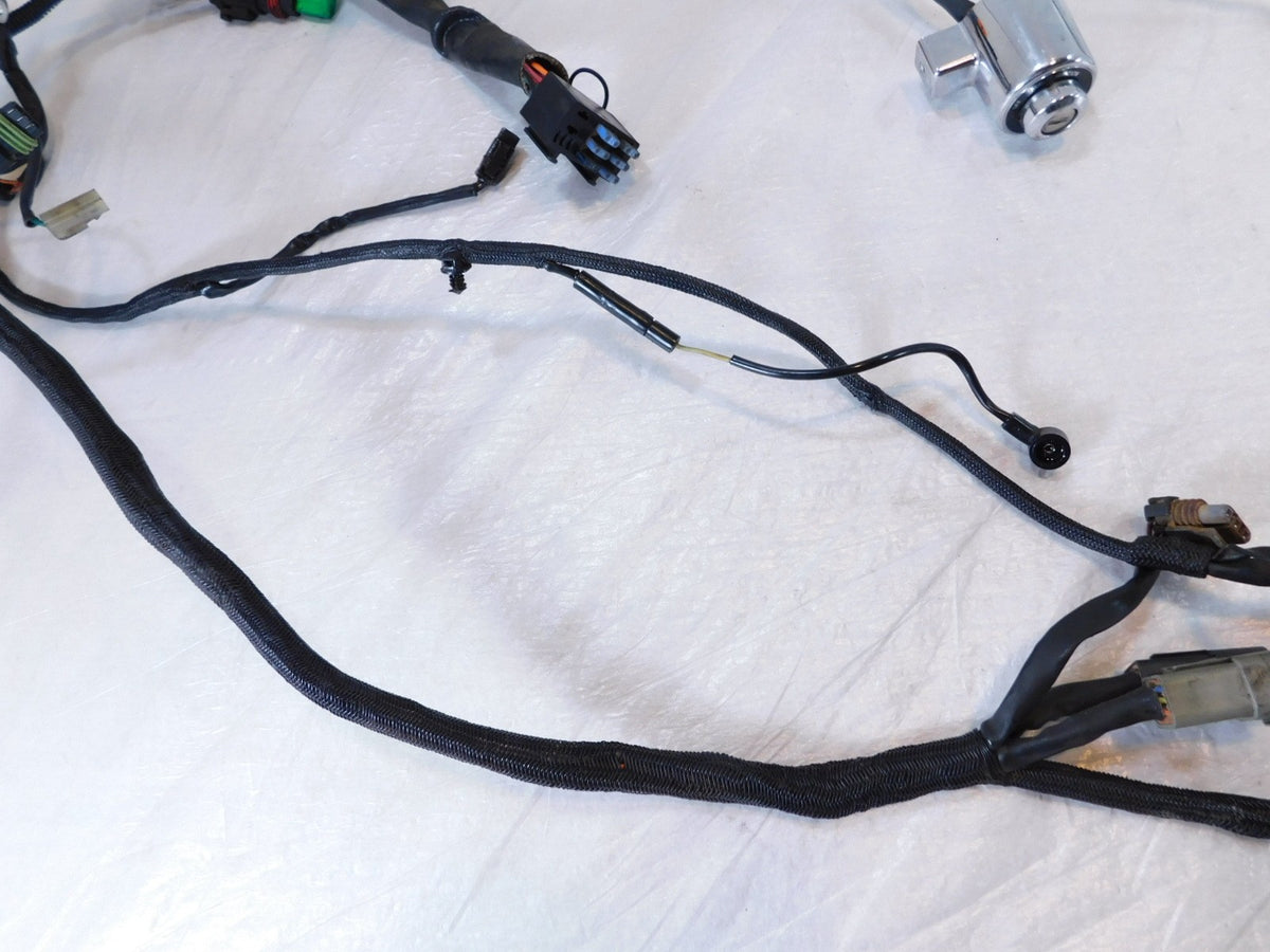 2005 Harley Sportster 883 & 1200 Wiring Wire Harness w/ Ignition Switch -No Key - C3 Cycle